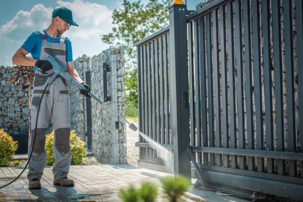 Best Graffiti Removal  in Seis Lagos, TX
